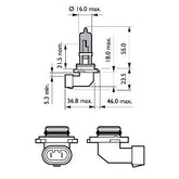 BEC FAR HB3 12V P20d 65W (blister) WHITE VISION ULTRA PHILIPS
