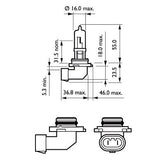 BEC FAR HB3 12V P20d 65W (blister) X-TREME VISION PRO150 PHILIPS