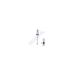 POPNIT ZINCAT FIAT RENAULT FORD 4.8MM SET 10 BUC