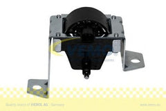 Bobina de inductie LAND ROVER FREELANDER LN VEMO V49700001
